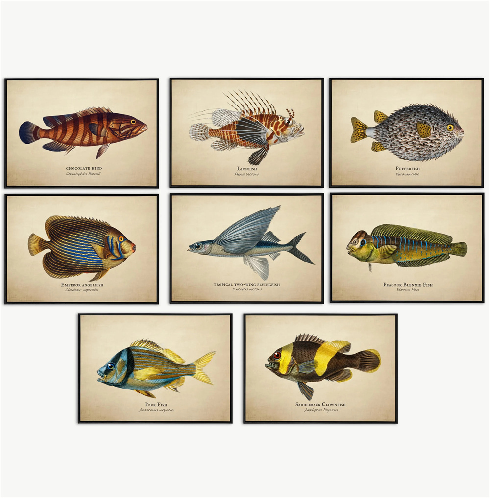 Vintage Pictures Tropical Fish - Marine Aquarium Home ulasan dan harga