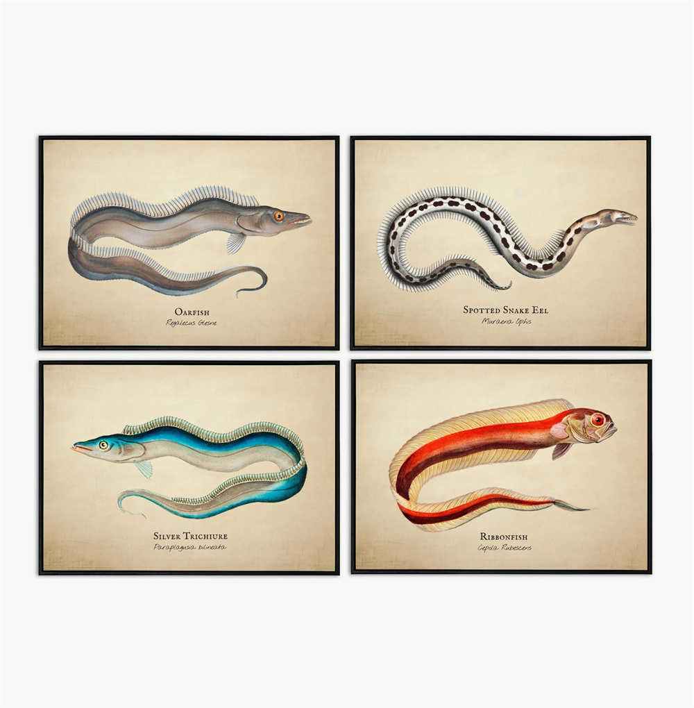 Vintage Pictures Tropical Fish - Marine Aquarium Home ulasan dan harga