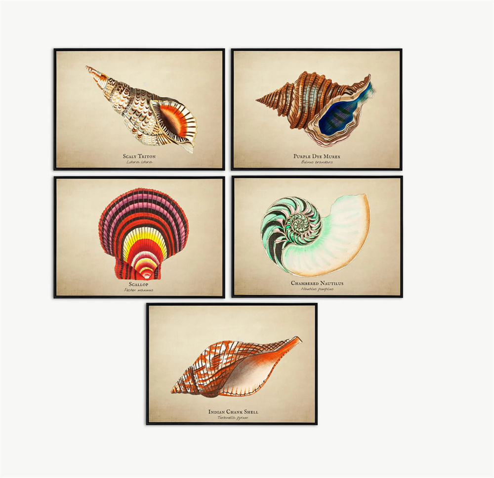 Vintage Pictures Tropical Fish - Marine Aquarium Home ulasan dan harga