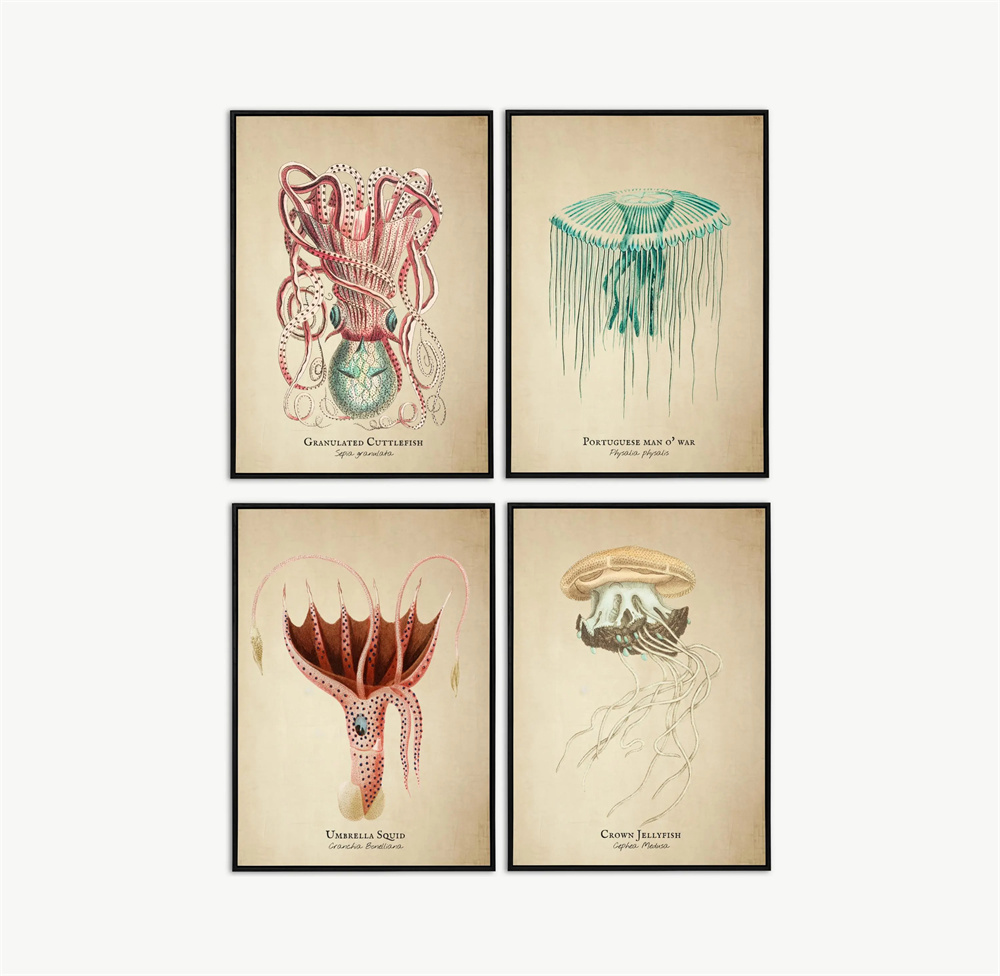 Vintage Pictures Tropical Fish - Marine Aquarium Home ulasan dan harga